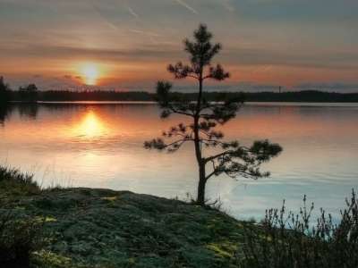 Вашутинское озеро, Ярославское