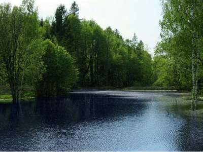 Лесные пруды, Киевское